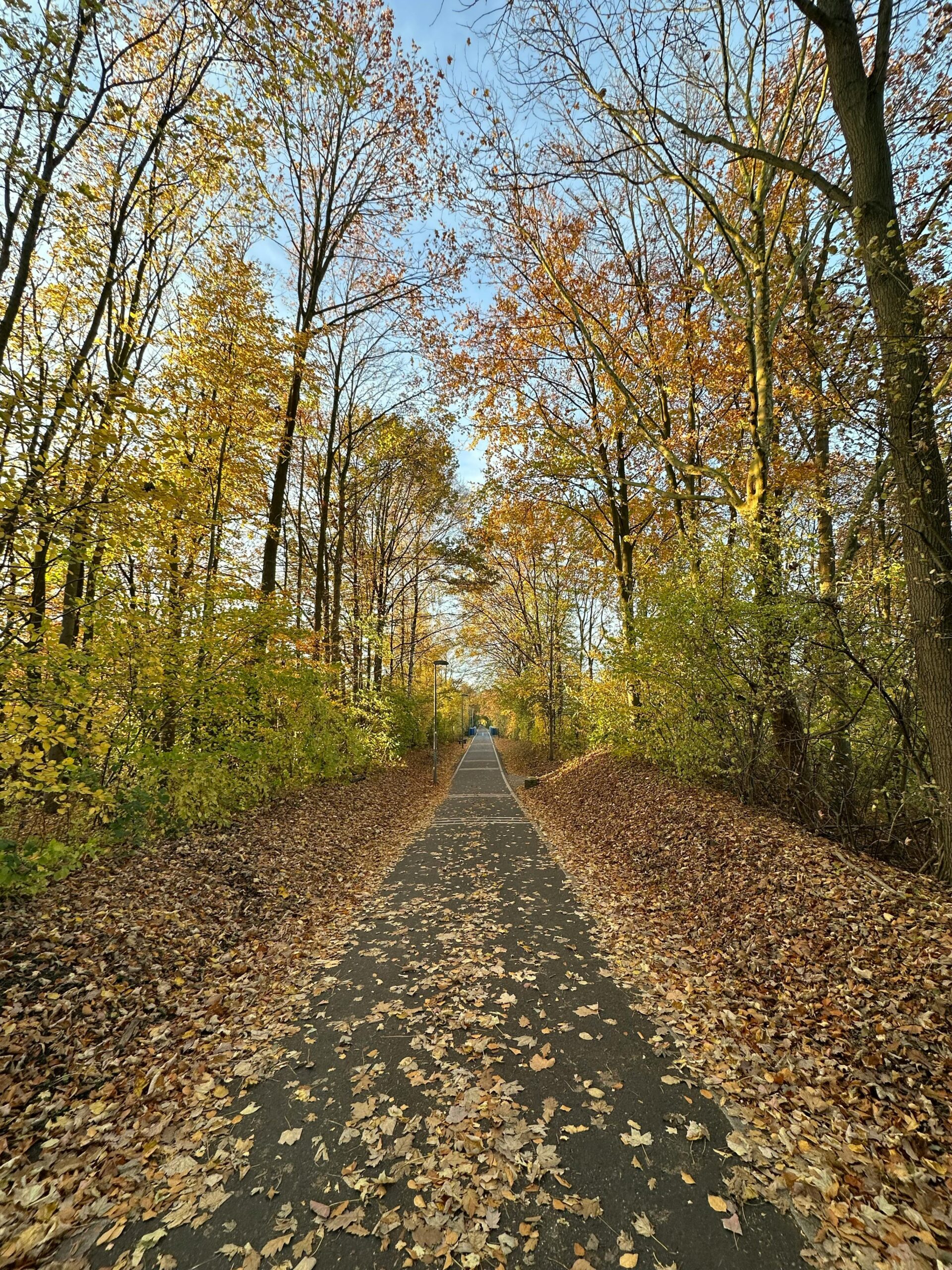 pexels-larissafarber-34735063